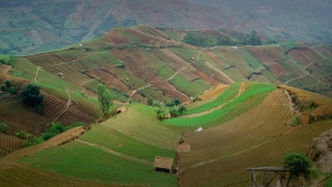 Terasering Panyaweuyan Majalengka