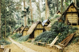Baduy People Granary Loc: Gajeboh Village, Kanekes, Banten